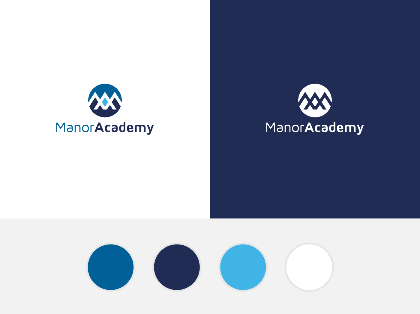Manor Acdemy Logo Design And Brand Colour Scheme