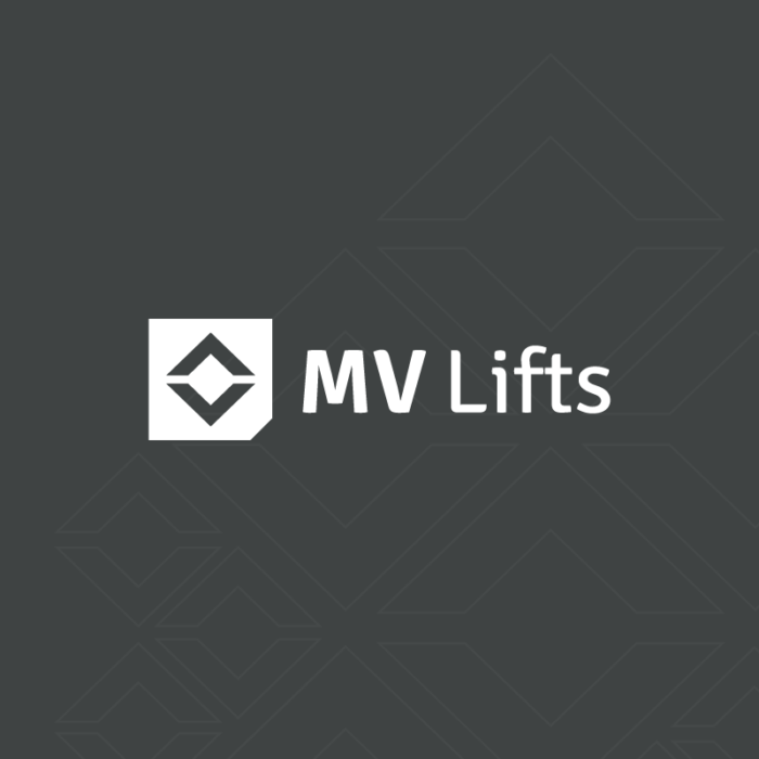 MV Lifts Wordpress Website Project